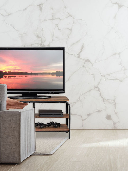 Mobilă Standuri TV Metalică Maro L43xA90xÎ35cm