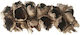 Cacho Coco Halb Natur 30cm