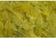 Federn Pack 10g Oliv