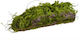 Moos-Holzscheit 29 cm