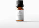 Anaplasis Essential Oil Orange 50ml