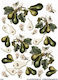 Reispapier Mondo Decoupage 30x40cm