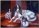 Rice Paper Mondo Decoupage 30x40cm