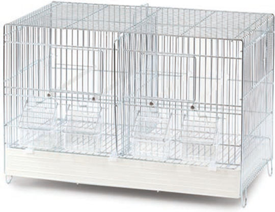 Domus Molinari Vogelkäfig Zuchtbrett 50x27x33cm.
