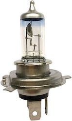 Trifa Lamp