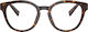 Dolce & Gabbana 3421 502