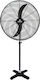 Human Commercial Stand Fan 220W 65cm FL-650