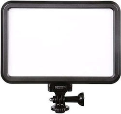 Tolifo PT-12B LED Light Tolifo PT-12B LED Light