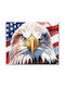 Diy Paint By Numbers Eagle Usa Flag 40x50cm Acrylic Paints