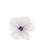 Mohnblume Violette Blütenblätter 50cm 50x50x52cm Monochrome Immergrüne