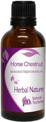 Nature & Body Βάμμα Horse Chestnut 50ml Nature & Body Βάμμα Horse Chestnut 50ml