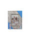 Decorative Souvenir Frame Plastic
