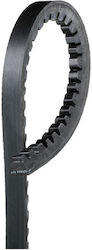 10x925-6217mc Belt Gates 10x925-6217mc Belt Gates