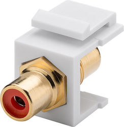 Goobay Keystone Cinch RCA Modul 79669