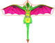 Kite 502376 80x120cm 1buc
