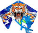 Kite cu Coada 123x160cm 1buc