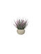 Dekorative Lavendelpflanze Papier-Topf 20cm Rosa Töne Kaemingk 801500-3 00045921
