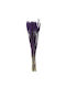 Buchet uscat 55cm 14x14x55cm Mov Kaeming