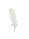 Artificial Decorative Branch Orchid White 95cm Iliadis