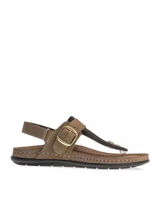Sunny Sandals