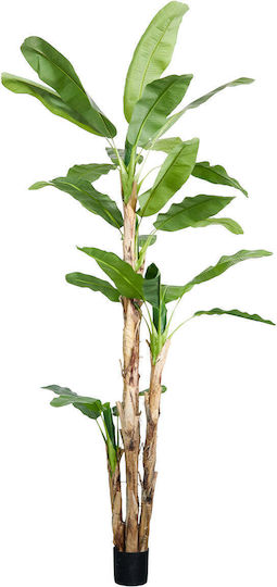 Bananenpflanze Grün 3,20 m