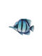 Glass Wall Decoration Fish Stripes 31x16cm Blue Tones Kaemingk 829911-2 00051083