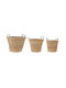MSA Set Dekorative Körbe Korbweide Beige 3 Stück