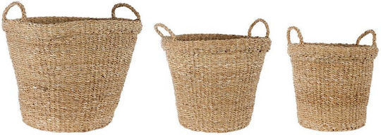 MSA Set Dekorative Körbe Korbweide Beige 3 Stück