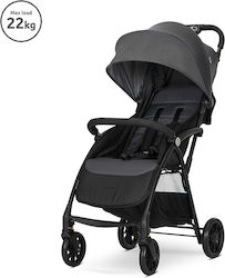 Lorelli Fresh 2 in 1 Gray Lorelli Fresh 2 in 1 Gray