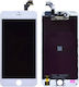 Οθόνη mit Touch-Mechanismus für iPhone 6 Plus (Weiß)