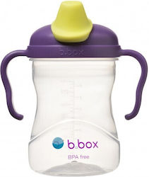 B.Box Εκπαιδευτικό Μπιμπερό 240ml