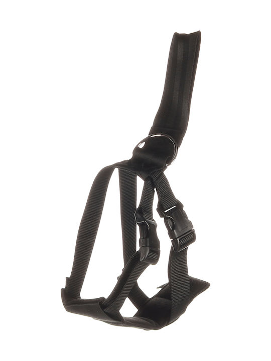 Flamingo Car Safety Harness Baro Black S 43-56cm