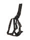 Ham de siguranță auto Flamingo Baro Negru M 48-68cm