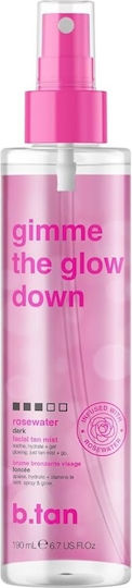 B.Tan Self Tanning Mist Προσώπου 190ml