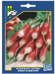 Geniki Fytotechniki Athinon Seeds Radish Long B...