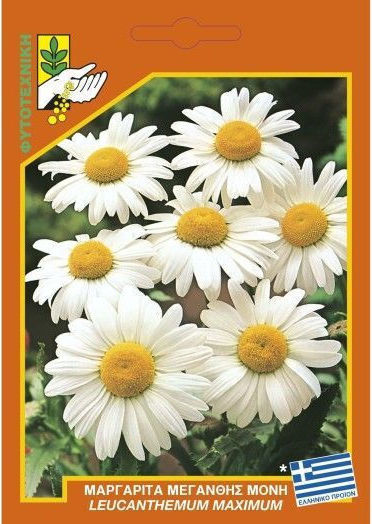 Geniki Fytotechniki Athinon Seeds Daisyς