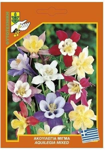 Geniki Fytotechniki Athinon Samen Sonnenblume