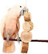 Τεράστιο Bird Kabob Φυσικό Παιχνίδι Παπαγάλου 48x10εκ