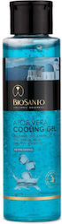 Biosanto Körperfeuchtigkeitscreme E-Commerce-Website 100ml