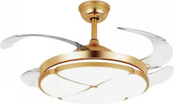 106cm Cu Lentile De Mărire Transparent / Auriu 106cm Cu Lentile De Mărire Transparent / Auriu