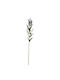 Blue Sage Flower 10×69 cm