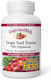 Natural Factors Grape Seed Extract 100mg 90 φυτικές κάψουλες