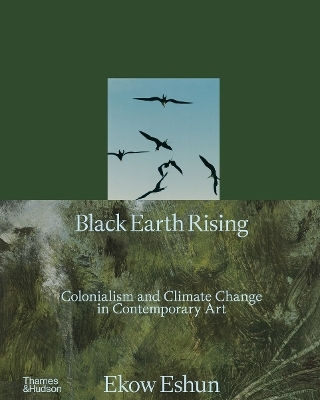 Black Earth Rising Ekow Eshun Thames & Hudson Ltd 0515