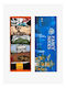 Gift Box Cotton Socks Designs Mixed 6 Pairs Nodo