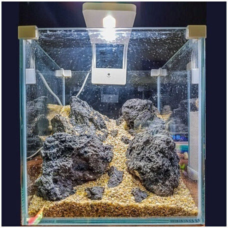 Misirlis Aquarium Acvariu de Pești cu Capacitate de 10lt cu 200x20.5x23cm. Turcoaz