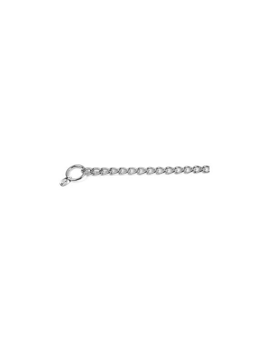 Zgardă de Strangulare Record Argintie 2,5mm X 50cm