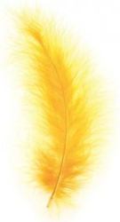 490563 Φτερά Μονόχρωμα Marabou 17 Χρώματα Σετ 15 Τμχ 04 Gold Yellow