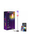 LED Floor Lamp H165xW24cm. with RGB Light Transparent