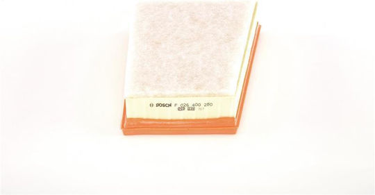 Air Filter Mercedes Renault PSA 243-190-60 BSG60135042-10211
