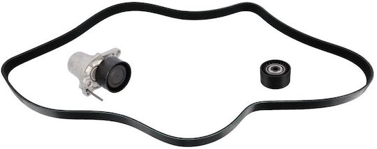 Lichtmaschinenriemensatz Vivaro-b 1.6d 7pk1687-swag-4423090s